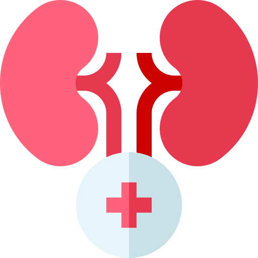 kidney